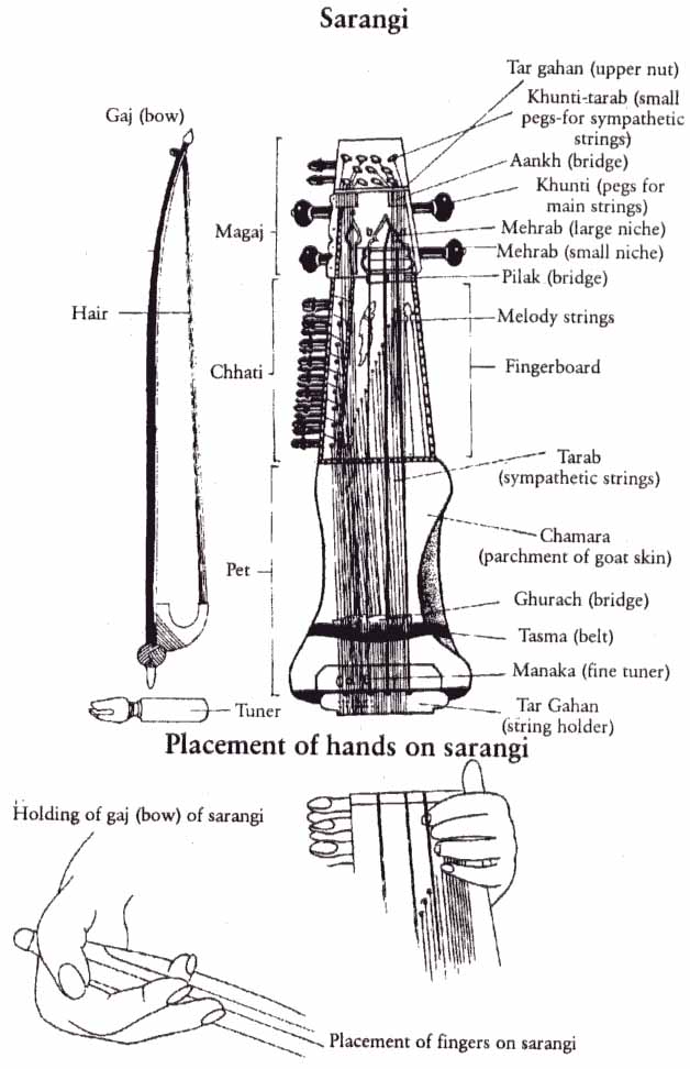 files/glossar/sarangi.jpg files/glossar/sarangi.jpg